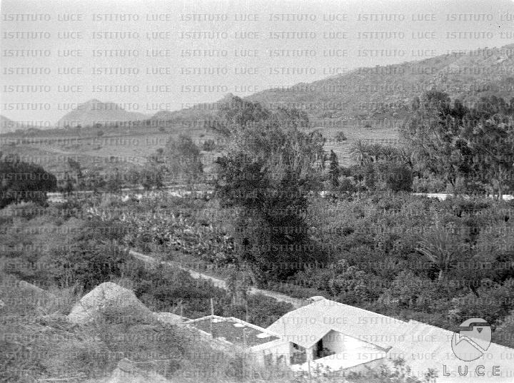 AO/AO015/AO00001093.JPG