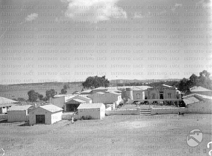 AO/AO018/AO00001313.JPG