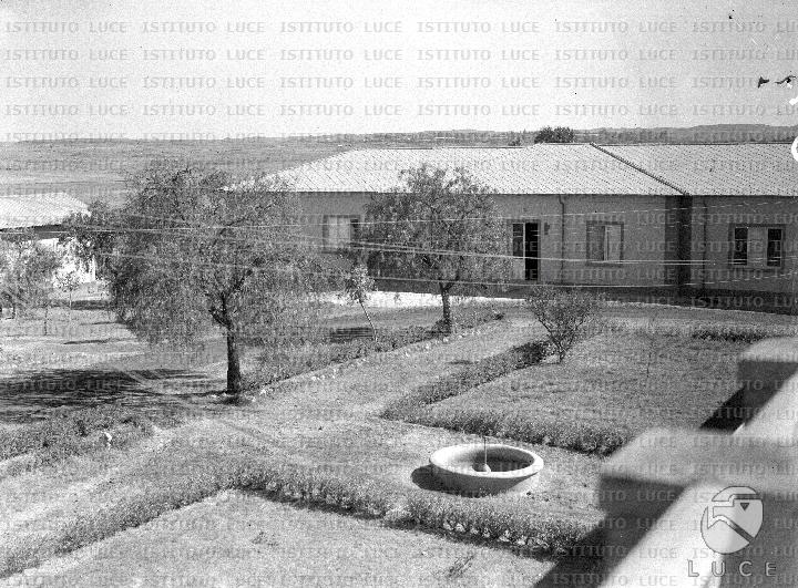 AO/AO018/AO00001314.JPG