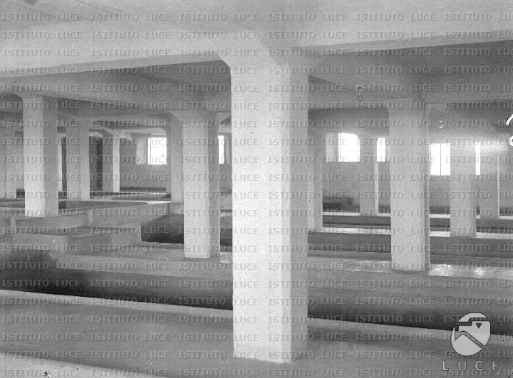 AO/AO019/AO00001346.JPG