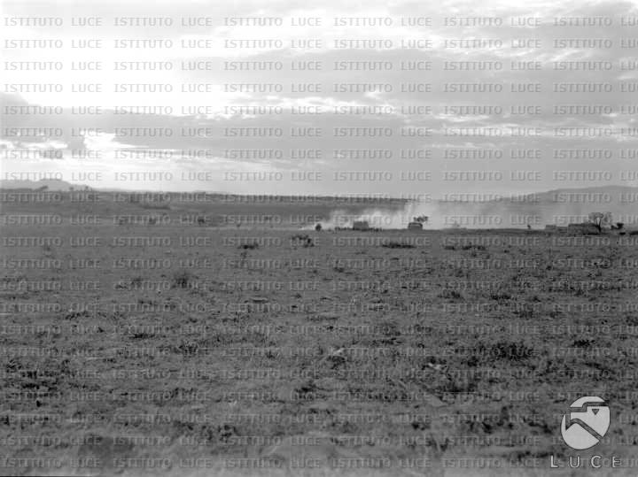 AO/AO030/AO00002067.JPG