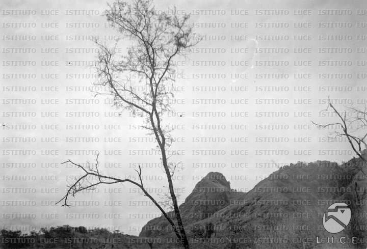 AO/AO031/AO00002107.JPG