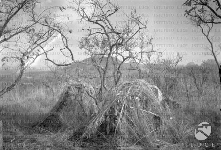 AO/AO031/AO00002126.JPG
