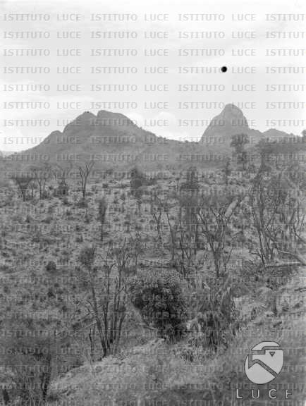 AO/AO032/AO00002172.JPG