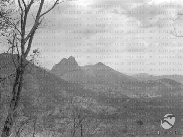 AO/AO033/AO00002229.JPG