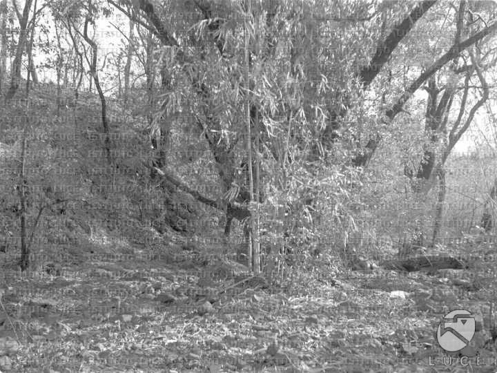 AO/AO033/AO00002275.JPG
