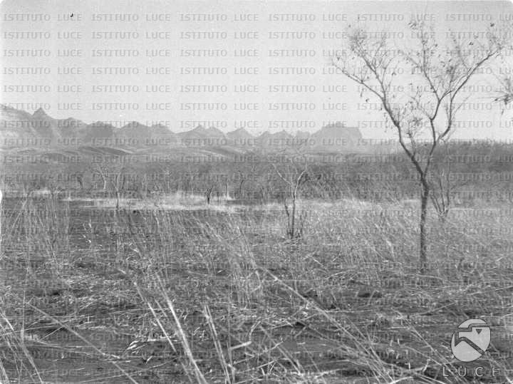 AO/AO033/AO00002280.JPG