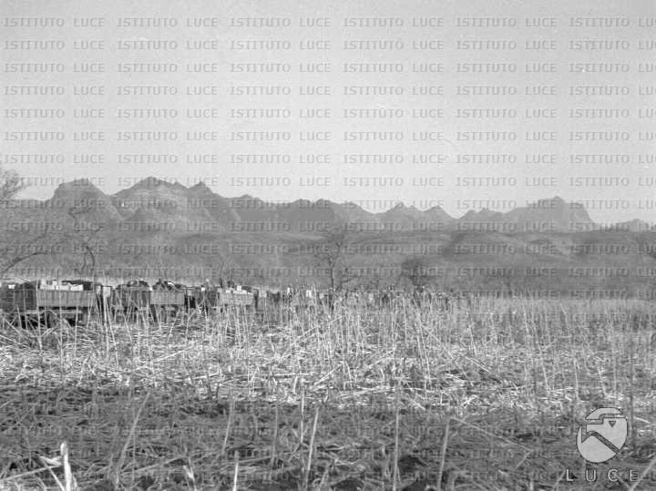AO/AO033/AO00002285.JPG