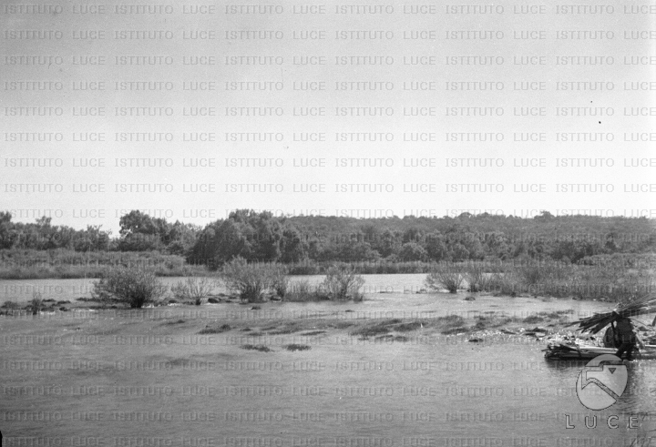 AO/AO034/AO00002366.JPG