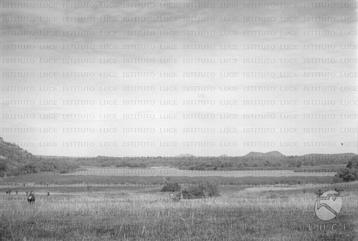 AO/AO034/AO00002367.JPG