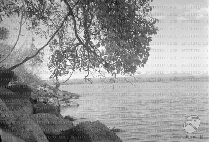 AO/AO034/AO00002376.JPG