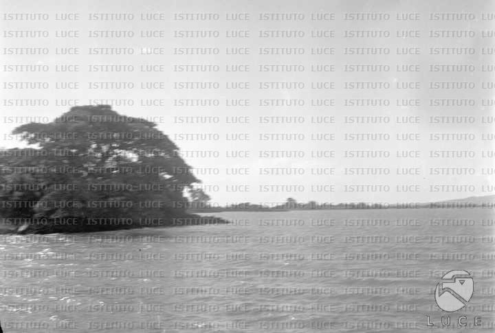 AO/AO034/AO00002378.JPG