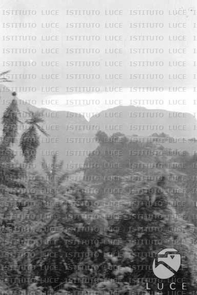 AO/AO037/AO00002524.JPG
