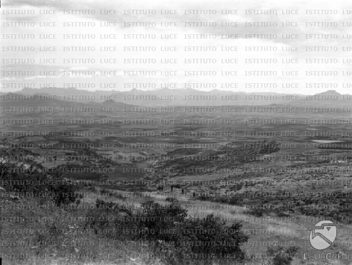 AO/AO041/AO00002767.JPG