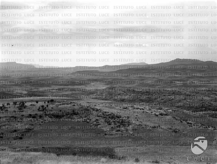 AO/AO041/AO00002772.JPG