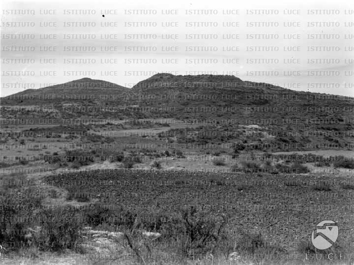 AO/AO041/AO00002778.JPG