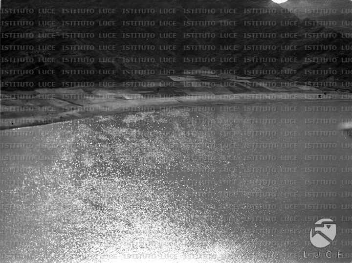 AO/AO041/AO00002781.JPG