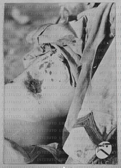 AO/AO043/AO00002866.JPG
