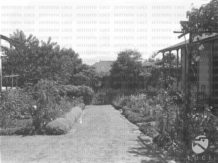 AO/AO047/AO00003178.JPG
