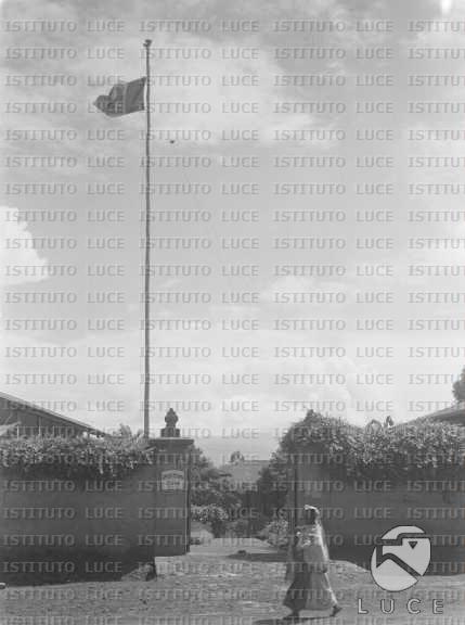 AO/AO047/AO00003184.JPG