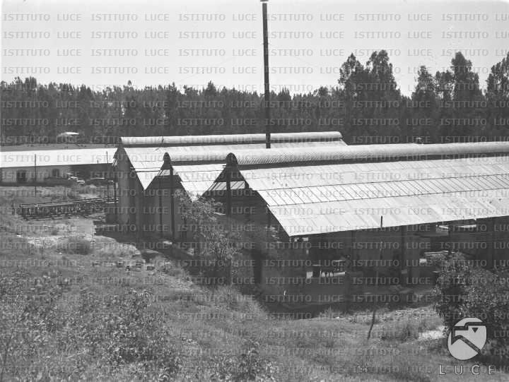 AO/AO053/AO00003561.JPG