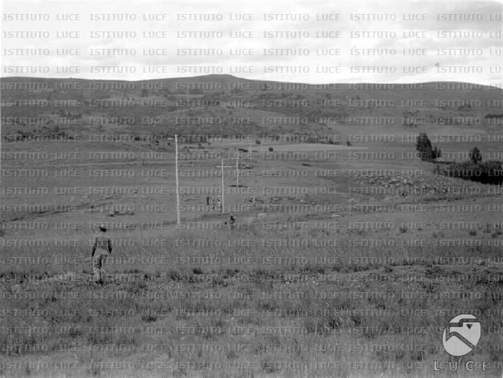 AO/AO053/AO00003570.JPG