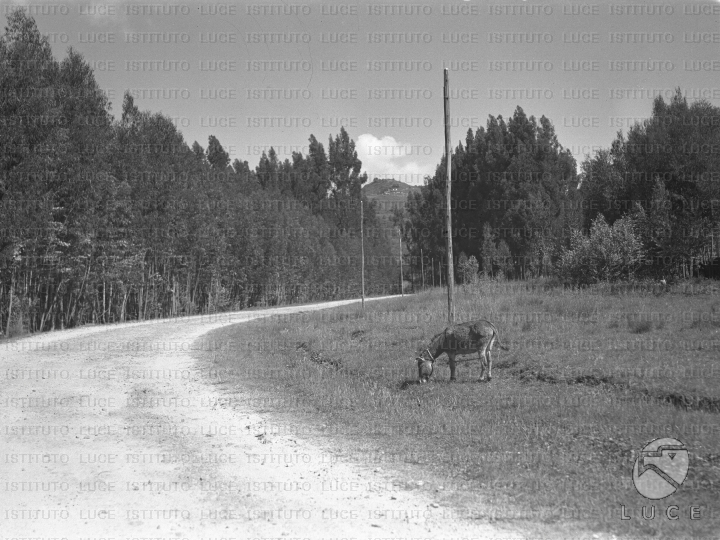 AO/AO053/AO00003571.JPG