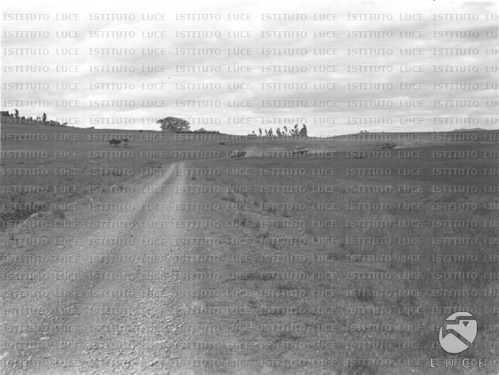 AO/AO053/AO00003579.JPG