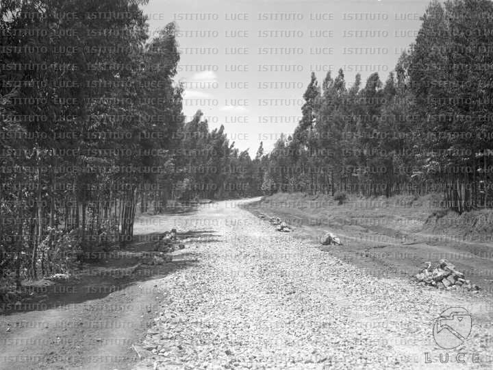 AO/AO053/AO00003597.JPG