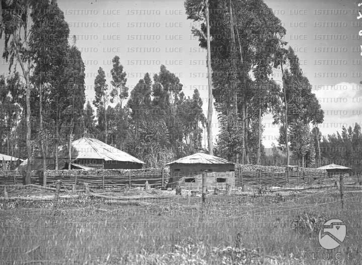 AO/AO054/AO00003605.JPG