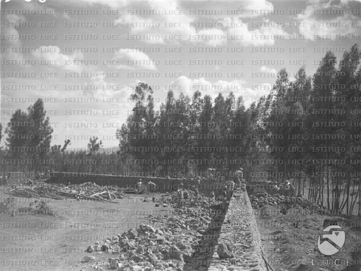 AO/AO054/AO00003610.JPG