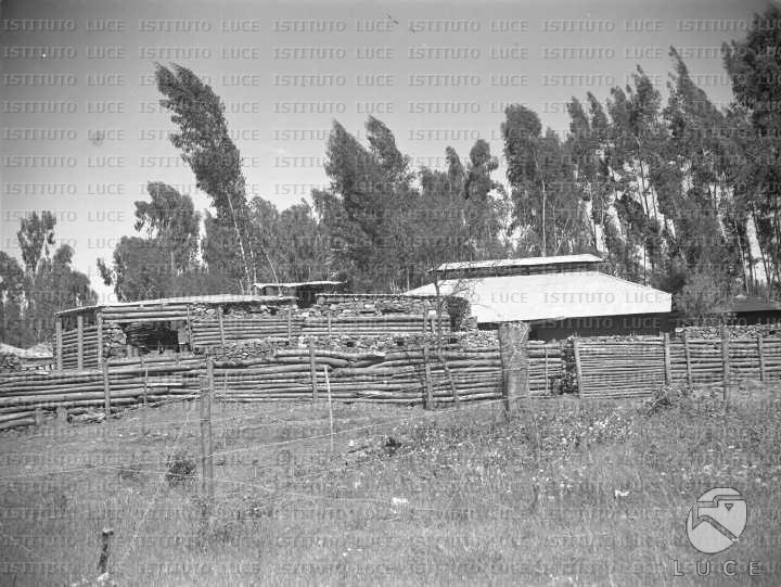 AO/AO054/AO00003624.JPG