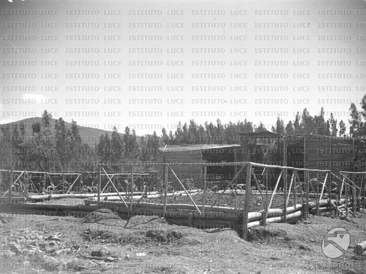 AO/AO054/AO00003625.JPG