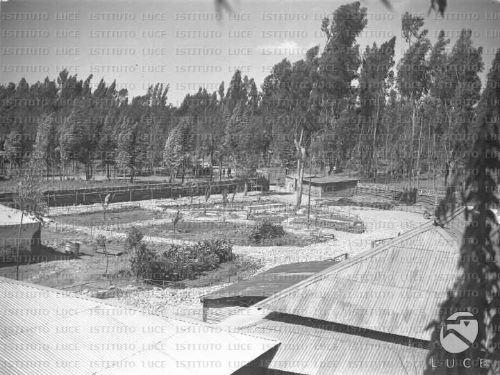 AO/AO054/AO00003630.JPG