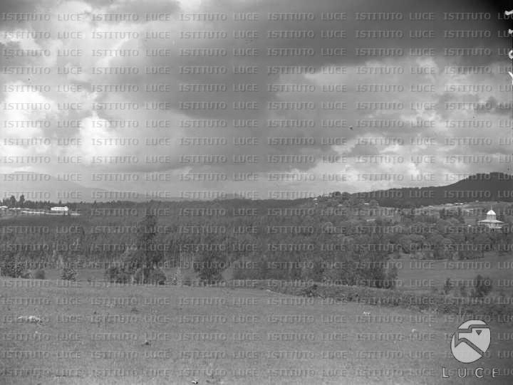 AO/AO054/AO00003649.JPG
