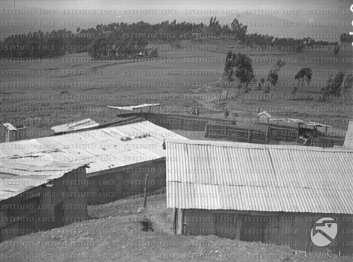 AO/AO054/AO00003663.JPG