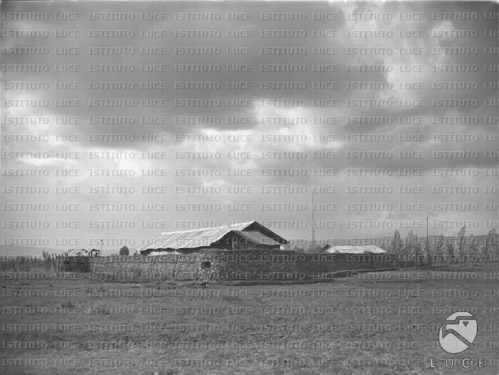 AO/AO055/AO00003685.JPG