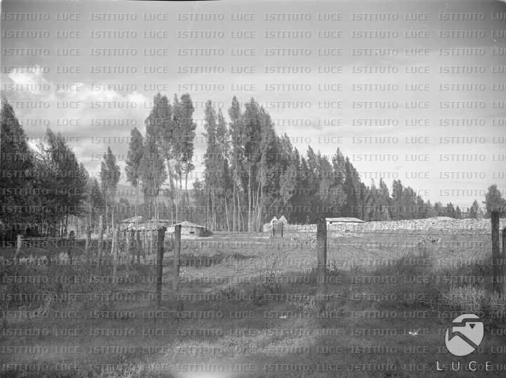 AO/AO055/AO00003704.JPG