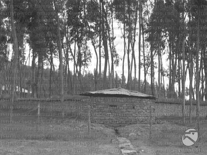 AO/AO055/AO00003705.JPG