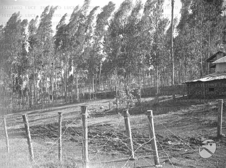AO/AO055/AO00003712.JPG