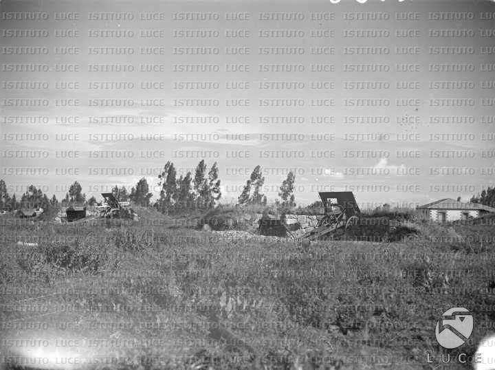AO/AO055/AO00003719.JPG