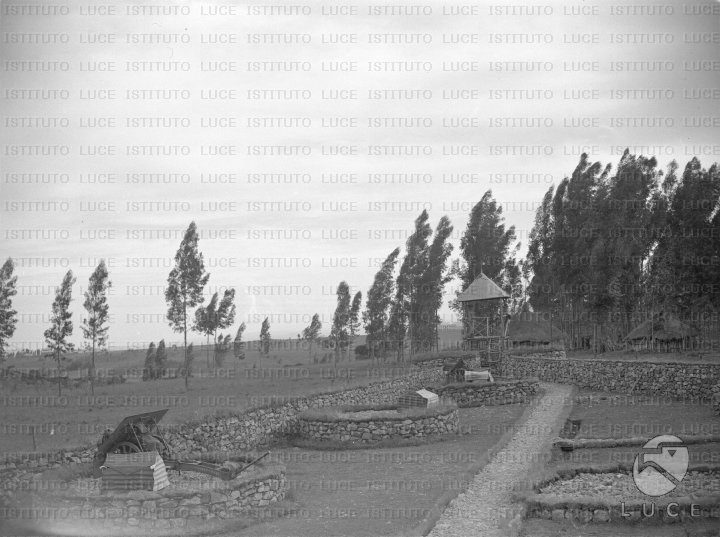 AO/AO055/AO00003728.JPG