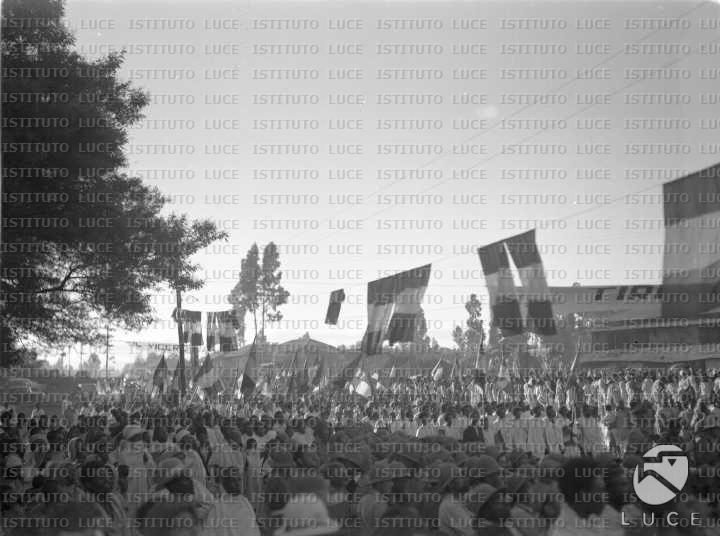 AO/AO056/AO00003771.JPG
