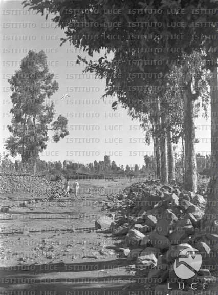 AO/AO061/AO00004115.JPG