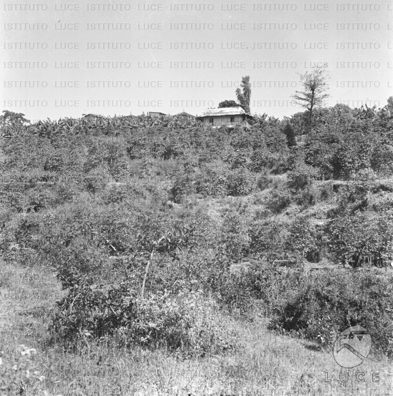 AO/AO062/AO00004147.JPG