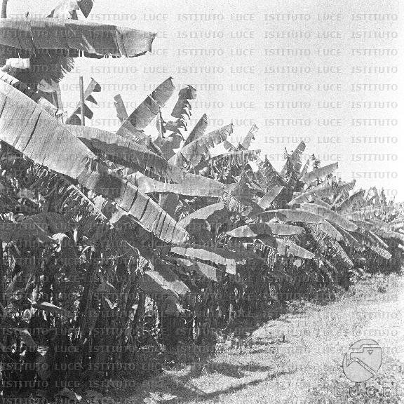 AO/AO062/AO00004148.JPG