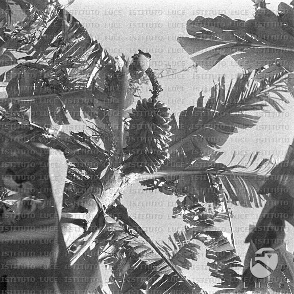 AO/AO062/AO00004149.JPG