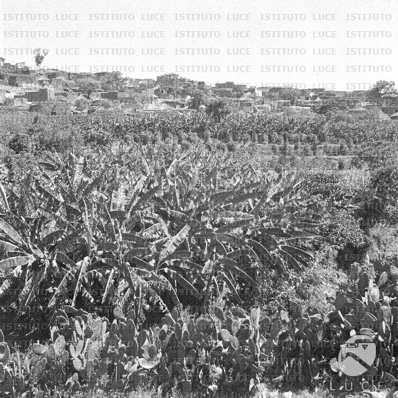 AO/AO062/AO00004152.JPG