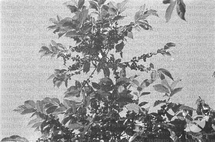 AO/AO062/AO00004159.JPG