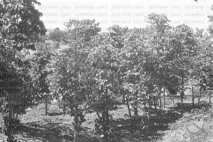 AO/AO062/AO00004160.JPG